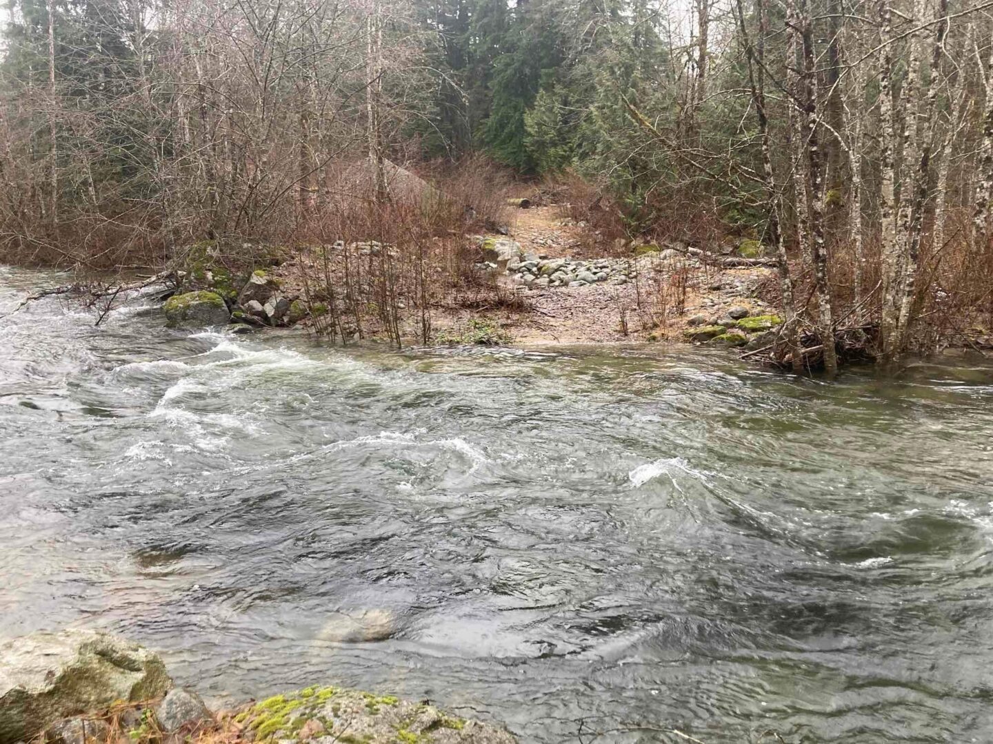 BC Hydro Salmon Hatchery Industra Construction