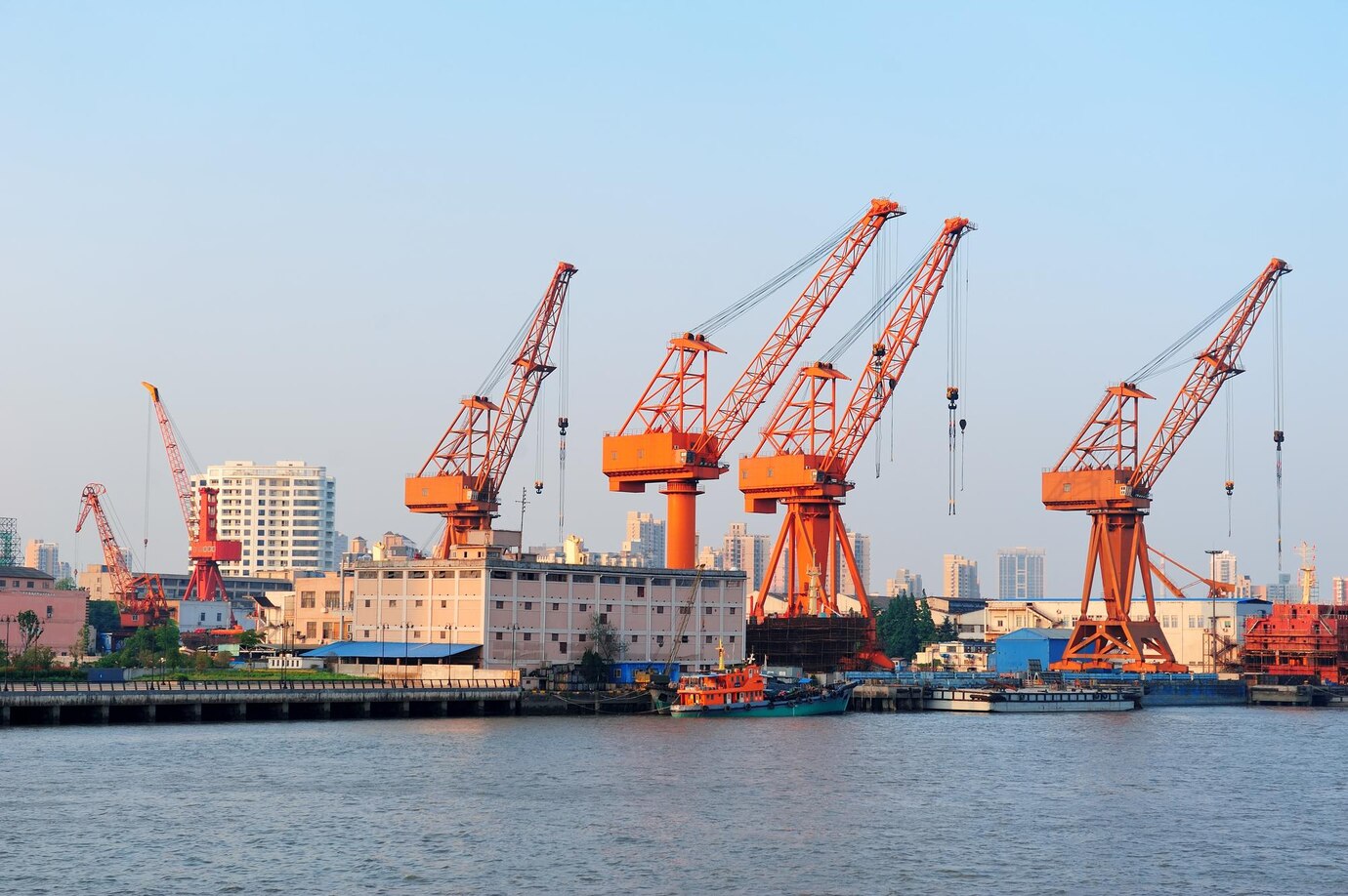 Environmental Considerations in Coastal Construction