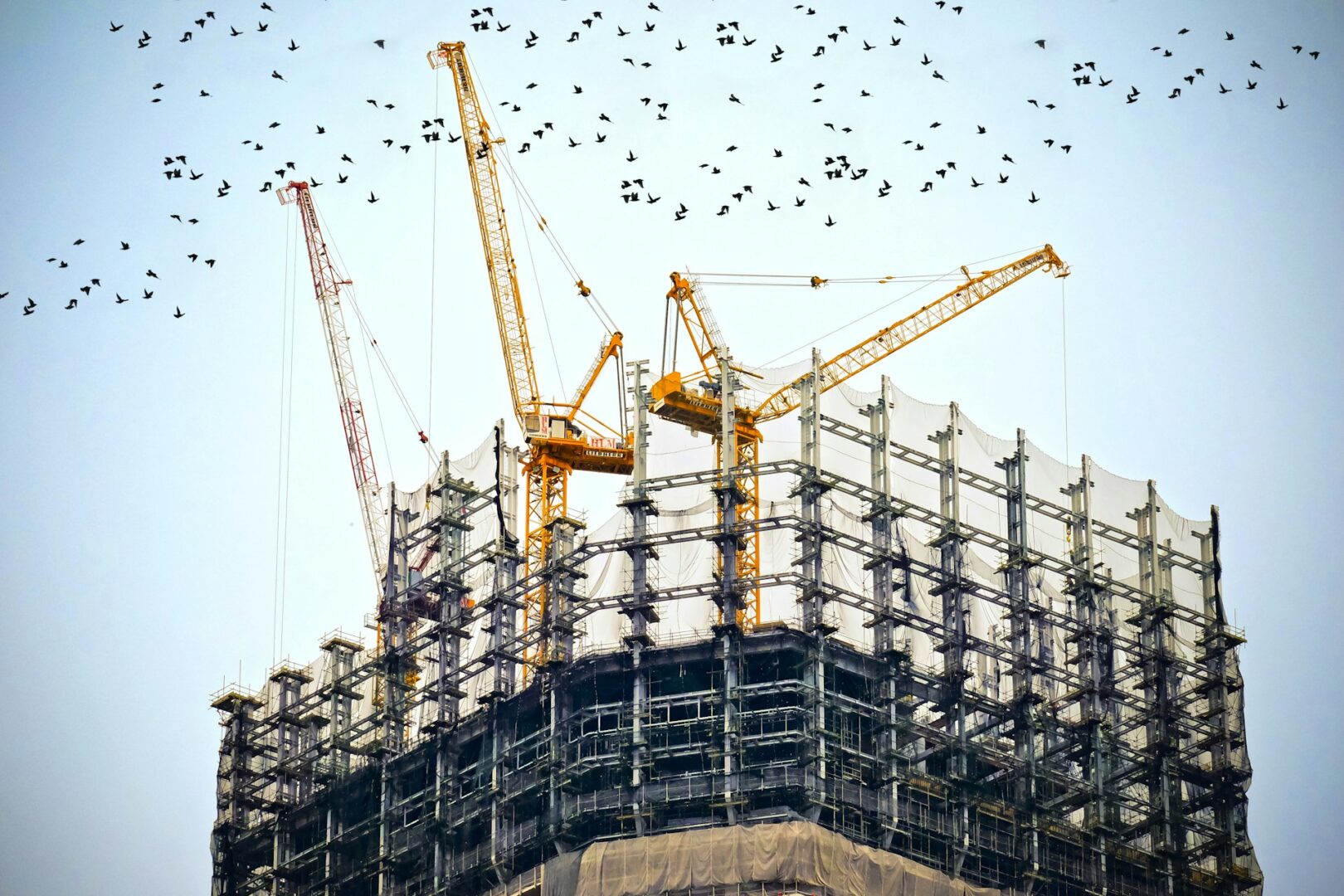 Steel Buildings