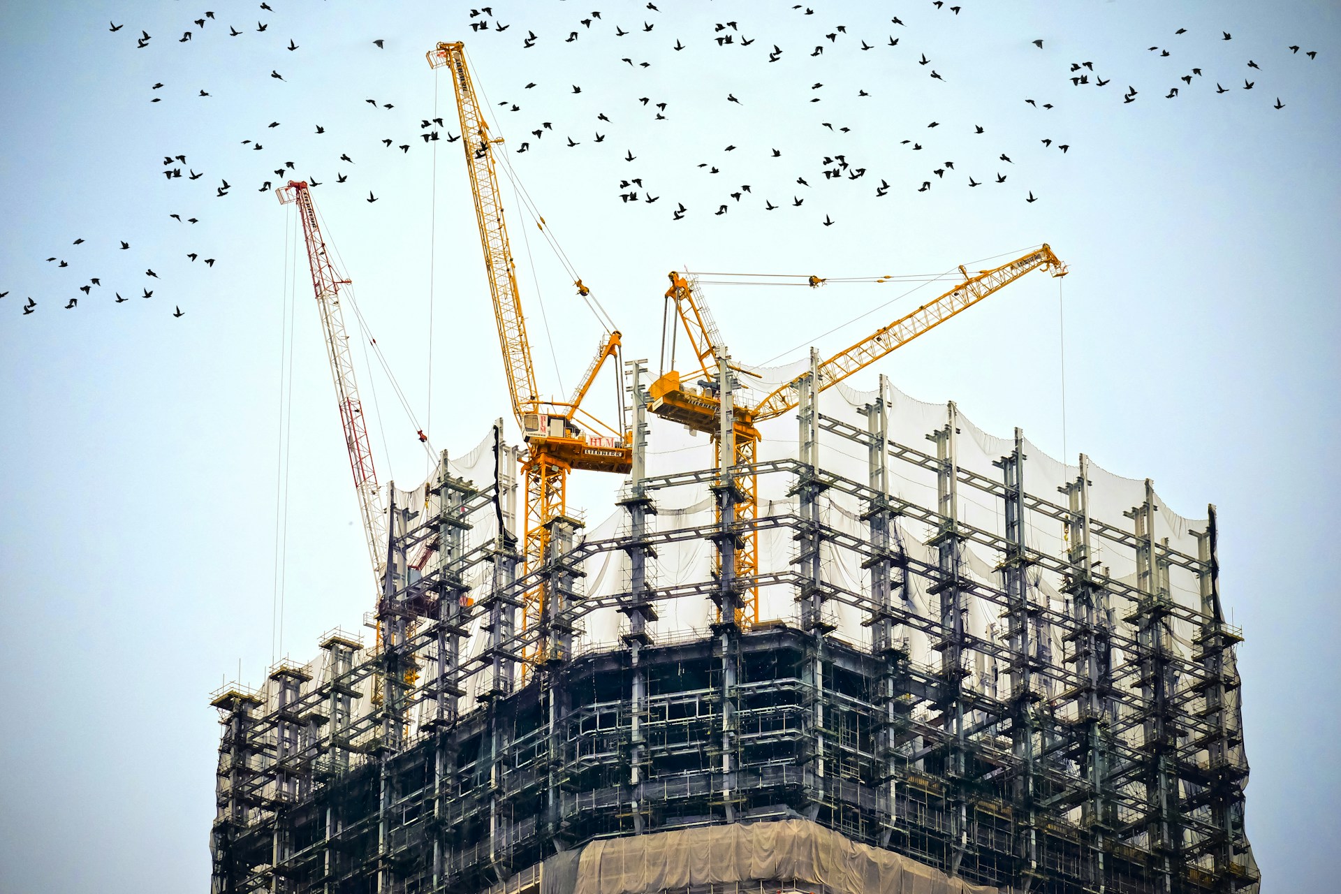 Steel Buildings