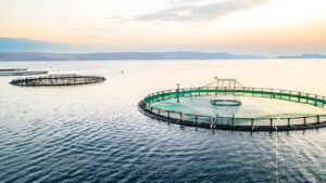 salmon hatchery
