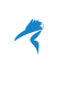 TETCELE ICC Logo (90) - white