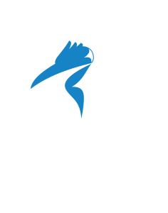 TETCELE ICC Logo (90) – white TETCELE ICC Logo (90) - white