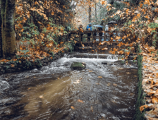 hoy creek hatchery salmon viewing