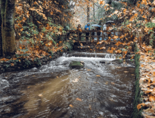 hoy-creek-hatchery-salmon-viewing